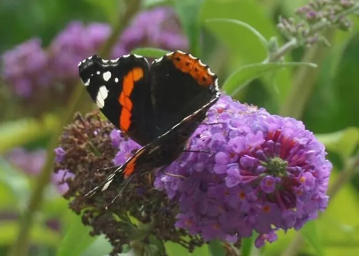 Schwalbennest By Interhome